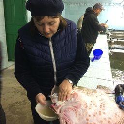 На НИБ «Заветное» начали работы по получению молоди черноморской камбалы-калкана. Фото пресс-службы АзНИИРХ