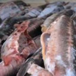 Общий вес продукции без ветеринарных сопроводительных документов составил 326 кг. Фото пресс-службы Россельхознадзора