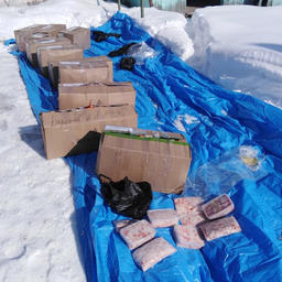 Еще более 200 кг краба и продукции из него обнаружили в автомобиле, остановленном на трассе у поселка Ольга. Фото пресс-группы Погрануправления ФСБ России по Приморскому краю
