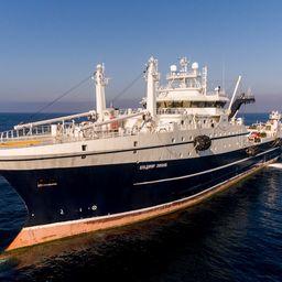 РРПК начала выпускать сурими из минтая благодаря вводу в эксплуатацию супертраулера «Владимир Лиманов». Фото пресс-службы компании