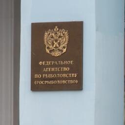 Аукцион проведет Федеральное агентство по рыболовству