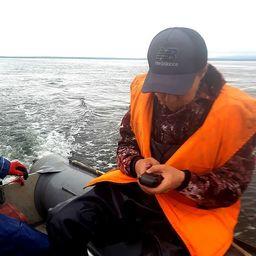 Прибрежную зону обследовали при помощи резиновых лодок. Фото пресс-службы СахНИРО