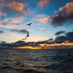 Рассвет в Охотском море
