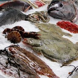 Бизнес предлагает посмотреть на возможности для роста поставок морепродуктов на внутренний рынок