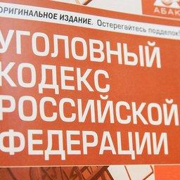 Изменения предлагается внести в статью 258.1 Уголовного кодекса РФ. Фото пресс-службы Госдумы