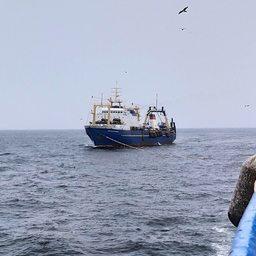 Российские научные наблюдатели завершили рейс на двух траулерах в водах Мавритании и Марокко. Фото пресс-службы АтлантНИРО