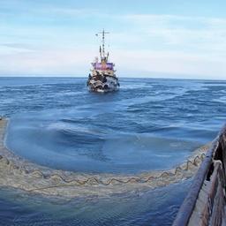 Промысел рыболовецкого колхоза «Дружба» на Сахалине