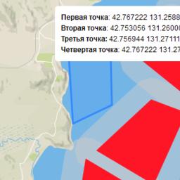 Карта-схема выставленного на торги участка