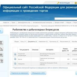 Документация аукциона опубликована на сайте torgi.gov.ru