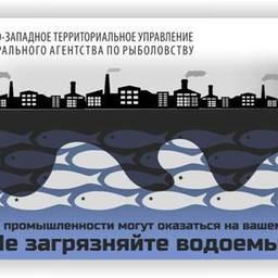 Жителей Северной столицы призывают блюсти чистоту водоемов