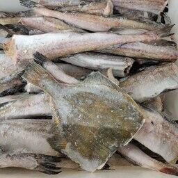 В частности, показатель самообеспеченности по рыбе и рыбопродуктам составил 128,8%