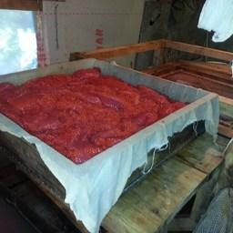 Также изъяты грохотка и большое количество сырой и соленой икры. Фото пресс-службы Охотского теруправления Росрыболовства