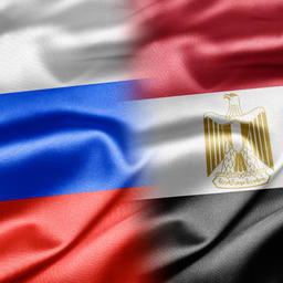 Компетентное ведомство Египта аттестовало для экспорта в республику 8 предприятий РФ – производителей рыбы и морепродуктов