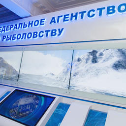 В Росрыболовстве размещен интерактивный комплекс, отражающий текущее состояние отечественной рыбной отрасли