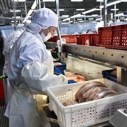 Рыбопромышленники Приморья могут получить субсидии на развитие перерабатывающих и холодильных мощностей