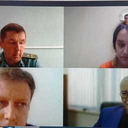 Перспективы промвсла лососей на Амуре и в Лимане обсудили на онлайн-конференции Fishnews