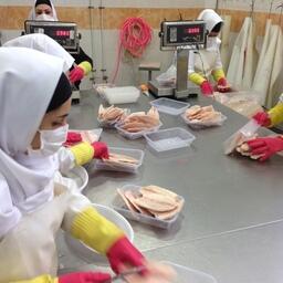 Производство рыбопродукции в Иране