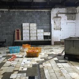 Ценные гидробионты без документов обнаружили в производственном помещении одного из мясоперерабатывающих предприятий. Фото пресс-группы Пограничного управления ФСБ России по Приморскому краю