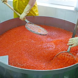 Икры в стране хватает, считают в Росрыболовстве