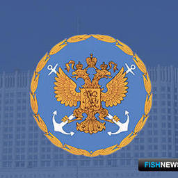 Морской коллегии обновили состав