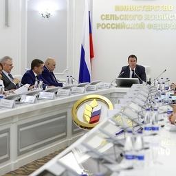 Глава Минсельхоза Дмитрий ПАТРУШЕВ провел совещание по вопросам развития рыбохозяйственного комплекса с участием отраслевых ассоциаций. Фото пресс-службы министерства