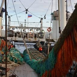 Рыбный промысел на Дальнем Востоке. Фото предоставлено «Океанрыбфлотом»