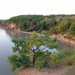 Озеро Ханка. Фото с сайта gotonature.ru