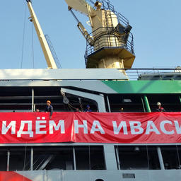 Сардина-иваси – один из перспективных объектов промысла
