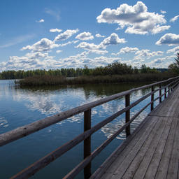 Правительство рассмотрит проект изменений Лесного кодекса для использования участков в целях рыбного хозяйства