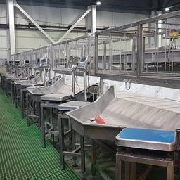 Основной цех ООО «Вывенское» после модернизации