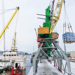 Отгрузка рыбопродукции в Мурманске. Фото пресс-службы Мурманского морского рыбного порта
