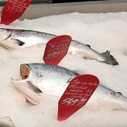 В сентябре торговые сети ожидают первых поставок рыбопродукции в рамках эксперимента по продвижению камчатской рыбы