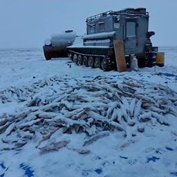 Ущерб от браконьерского промысла инспектора превысил 4,5 млн рублей. Фото пресс-службы Следственного управления СК России по Республике Саха (Якутия)