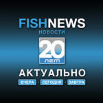 В рамках проекта Fishnews «Актуально вчера, сегодня, завтра» рассказываем о регулировании промысла лососей