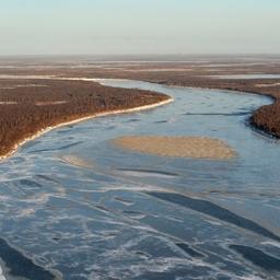 В Ямало-Ненецком автономном округе создан природный заказник регионального значения «Сынско-Войкарский». Фото пресс-службы правительства ЯНАО