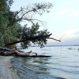 Доли квот на Цимлянском водохранилище разыграют на аукционе. Фото Антона Литовченко