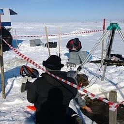 Ученые исследуют экологические проблемы и кормовую базу рыб в Обской губе