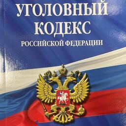 Елизовский районный суд признал мужчину виновным по пункту «б» части 4 статьи 171.1 УК РФ 