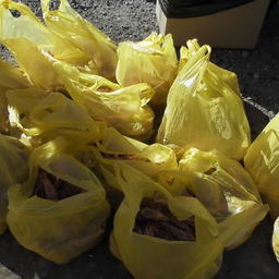 В двух машинах во дворе дома нашли порядка 150 кг готовой к транспортировке креветки. Фото пресс-группы Погрануправления ФСБ России по Приморскому краю
