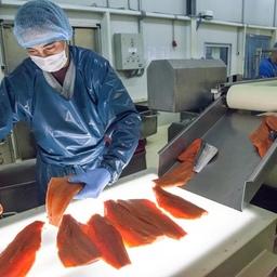 Минсельхоз готовит закон для экспортеров