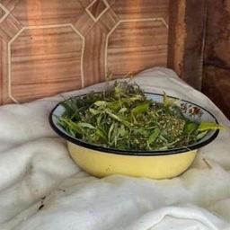 Также в квартире обнаружили марихуану. Фото пресс-службы УМВД России по Хабаровскому краю