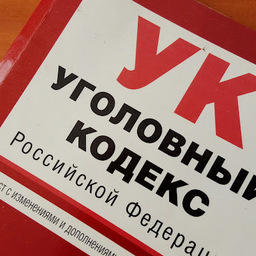 В Хабаровском крае члены организованной преступной группы осуждены за незаконный вылов и переработку осетровых
