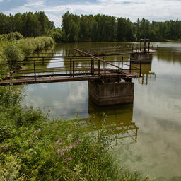 Правительство одобрило законопроект, упрощающий получение в аренду для аквакультуры земельных участков, в том числе под русловыми прудами