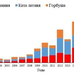 Рис. 1. Динамика вылова амурских лососей в XXI в.