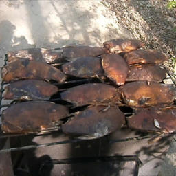Полицейские изъяли также добытых лещей, язей и карпов. Фото пресс-службы Главного управления МВД России по Алтайскому краю