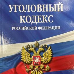 Реальные сроки для подсудимых заменили принудительными работами