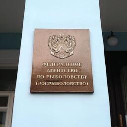 Росрыболовство выпустило приказы о распределении по предприятиям квот добычи в районе регулирования НАФО, Псковско-Чудском озере, а также квот вылова крабов в инвестцелях на Северном бассейне 