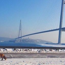 Владивосток, остров Русский. Фото с pikabu.ru