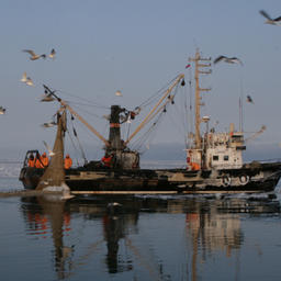 Прибрежный промысел в Сахалинской области