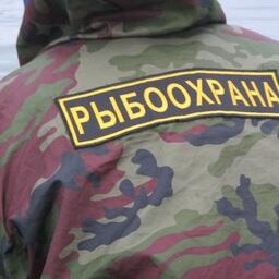 С января по март рыбоохрана выявила свыше 20,9 тыс. нарушений — на 10,1% больше, чем за аналогичный период прошлого года